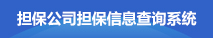 擔(dān)保公司擔(dān)保信息查詢(xún)系統(tǒng)
